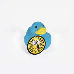 Blue Sea Duck